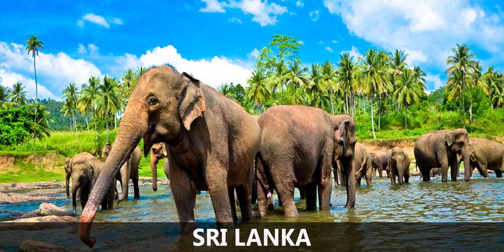 SRILANKA